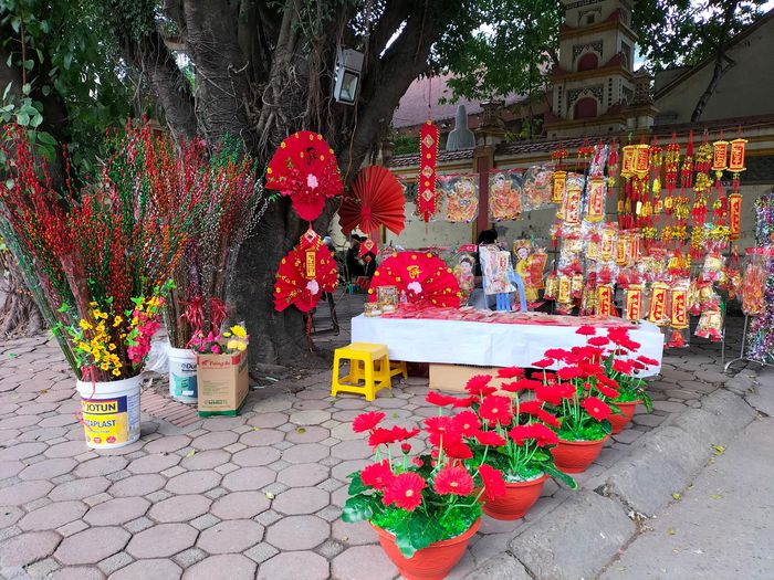 Chum Anh Nhon Nhip Sac Xuan Khap Pho Phuong Ha Noi 6ad 6287778