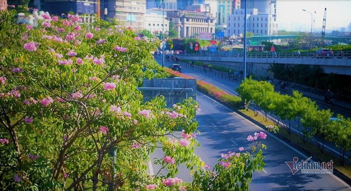 Pho Sai Gon Khoac Ao Moi Ruc Ro Trong Sac Ken Hong 38c 6357362 1