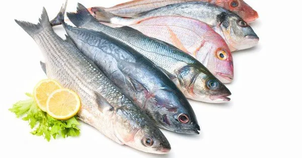 4 loại cá dù rẻ đến mấy cũng không nên mua