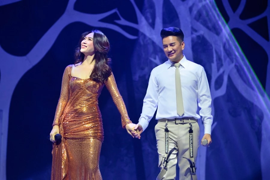 Sở Văn hóa kết luận vụ Đàm Vĩnh Hưng cài huy hiệu lạ là ‘phản cảm’