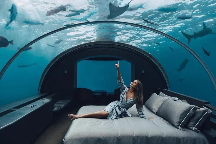 Bên trong khách sạn ‘ngồi toilet xem cá mập’ đắt nhất thế giới