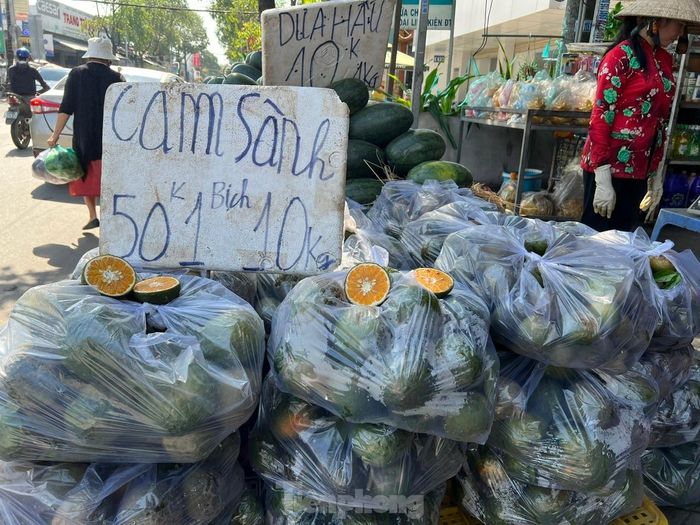 Lý do cam sành rớt giá thê thảm ở TPHCM, chỉ còn 4.000 – 5.000 đồng/kg