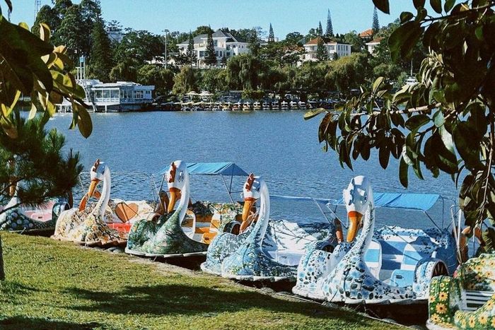 Đà Lạt dừng đạp vịt trên hồ Xuân Hương