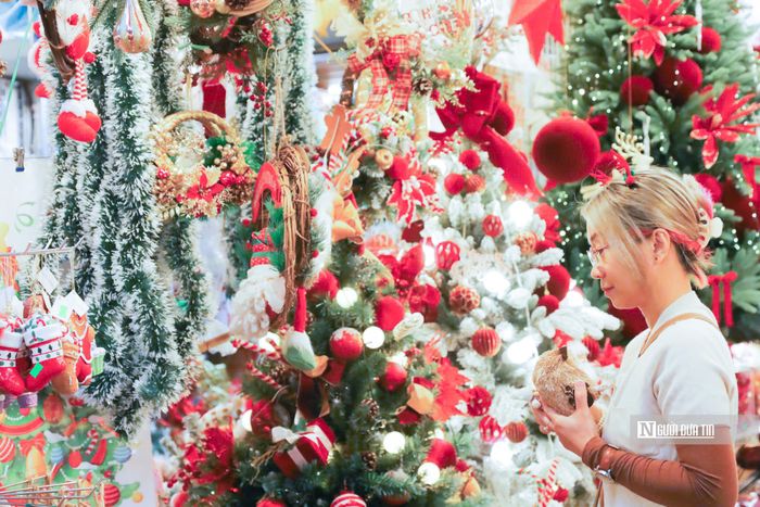 Không khí Giáng sinh tràn ngập phố phường Hà Nội