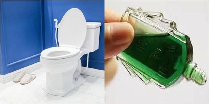 Nhỏ dầu gió vào bồn cầu có tác dụng gì?