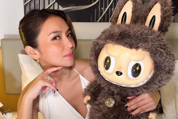 Labubu đã hết thời, không còn đội giá gấp 3