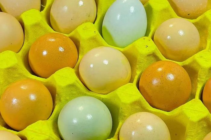 2 cách bảo quản trứng không cần tủ lạnh, để cả tháng vẫn tươi
