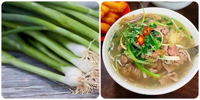 Thêm hành lá vào bữa ăn hằng ngày, cơ thể thay đổi ra sao?