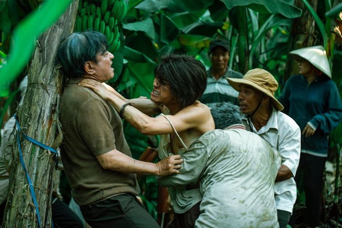 Nhiều phim Việt thảm bại, lỗ nặng