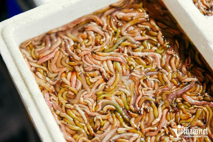 Quán Hà Nội bán đặc sản ‘nhìn sợ nhưng ăn ngon’, báo Tây nhiều lần khen nức nở