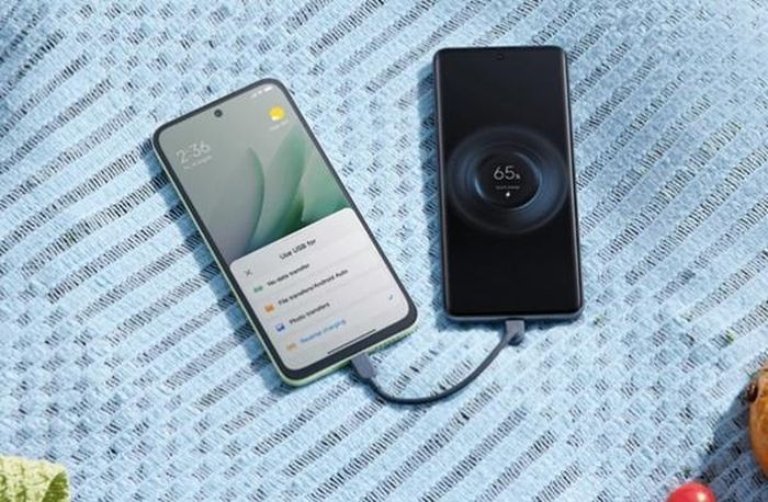 Tính năng sạc ngược trên điện thoại thông minh