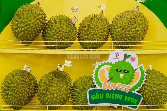 Người dân TPHCM đổ xô trải nghiệm buffet sầu riêng cuối tuần